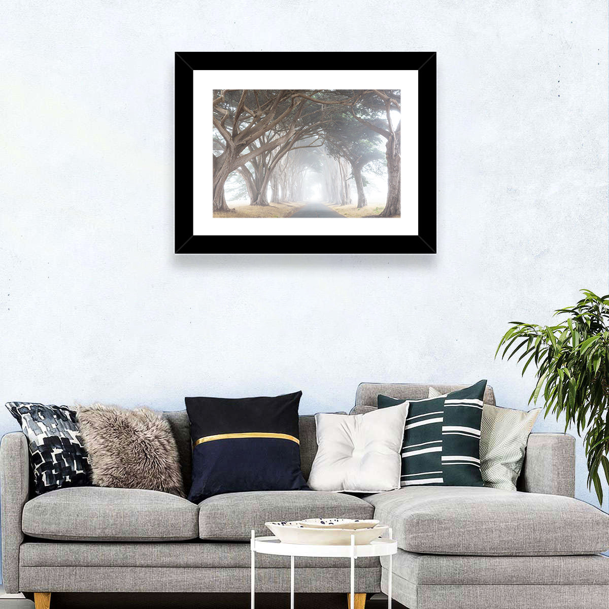 Misty Cypress Tunnel Wall Art