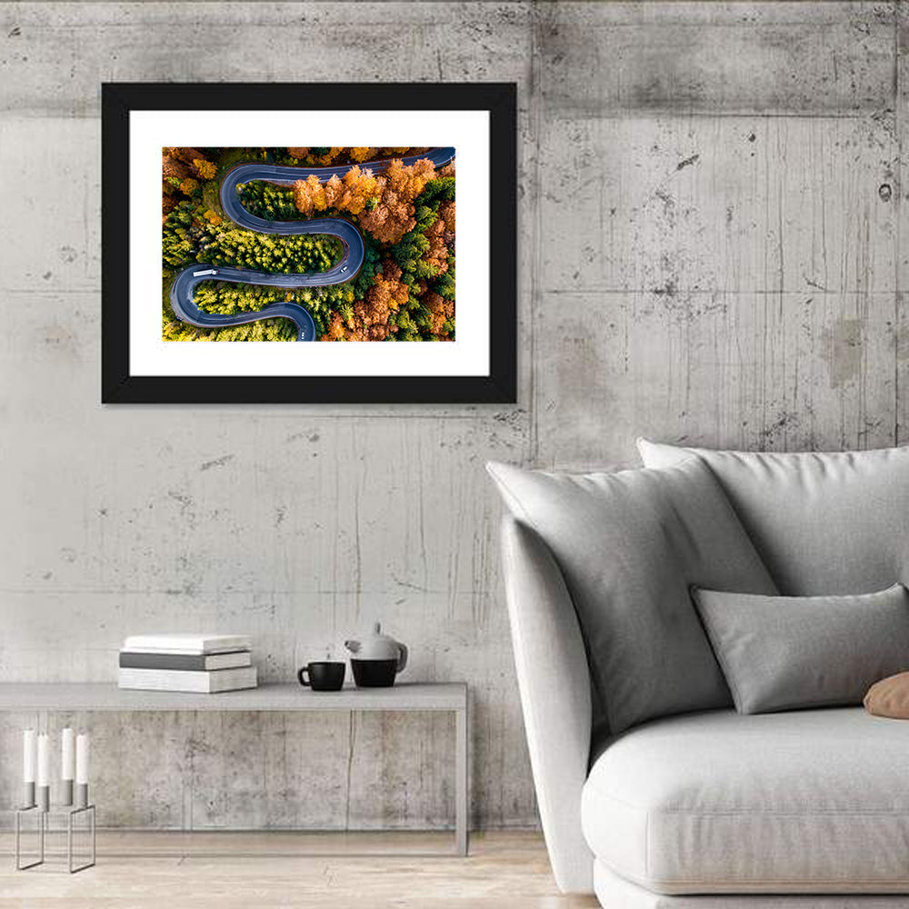 Serpentine Forest Road Wall Art in a room, landscape
