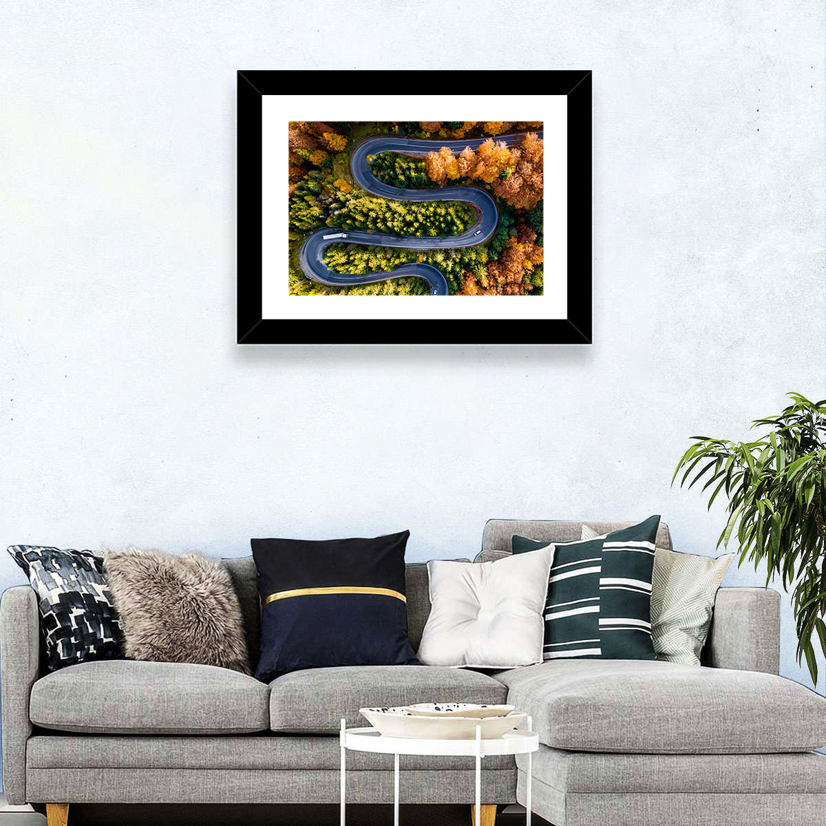 Serpentine Forest Road Wall Art