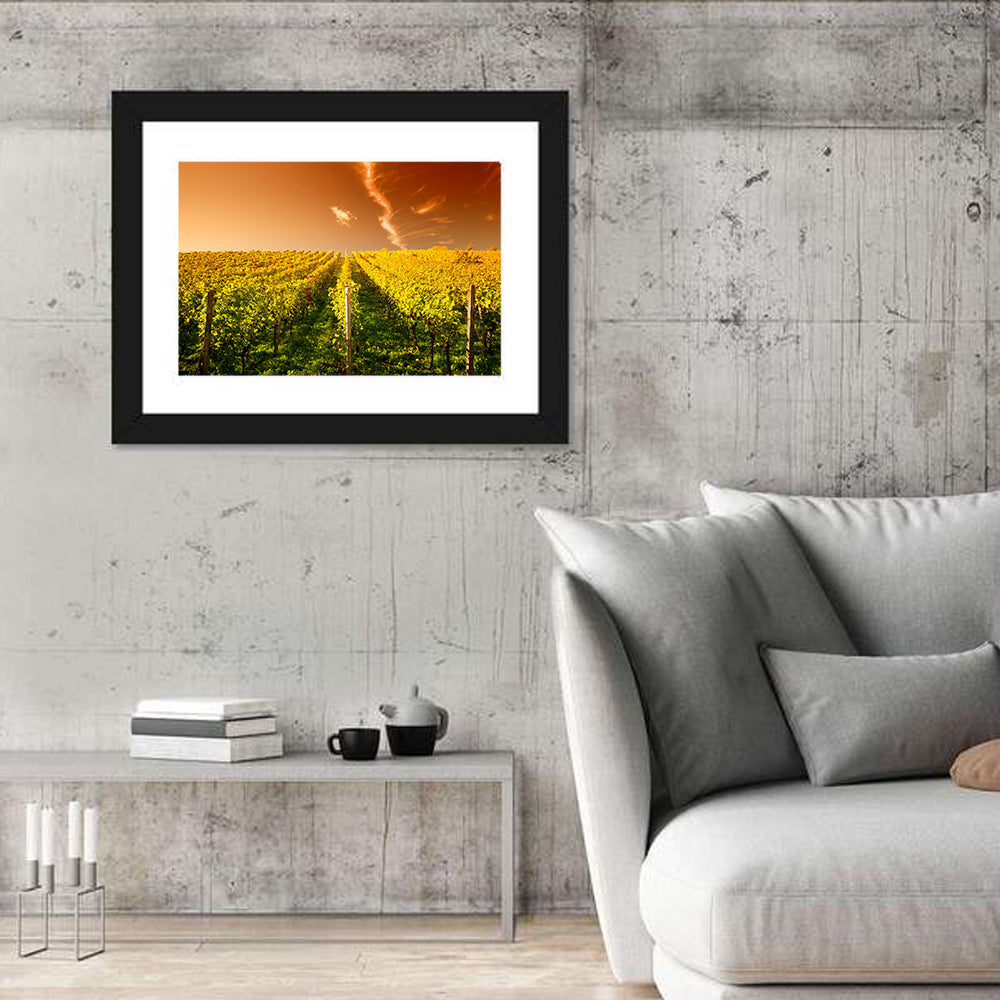 Golden Vineyard Sunset Wall Art