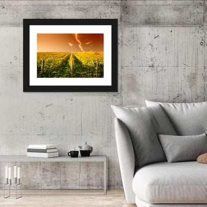 Wineyard Sunset Wall Art