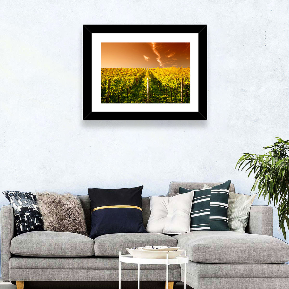 Wineyard Sunset Wall Art