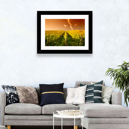 Wineyard Sunset Wall Art