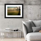 Tire Swing in Morning Mist Wall Art