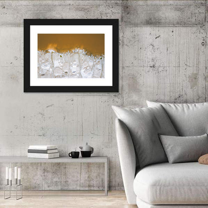 Lac Rose Salt Flats Senegal Wall Art