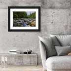 Lynn Canyon Riverbed Forest Wall Art