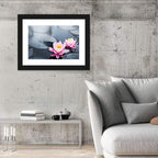 Pink Water Lilies Wall Art
