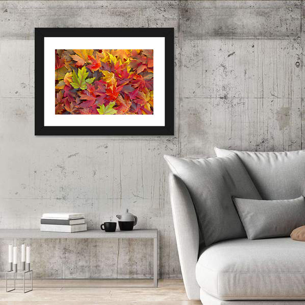 Autumn Maple Leaves Close-up Wall Art in a room, landscape