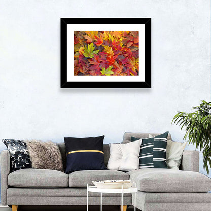 Autumn Maple Leaves Close-up Wall Art