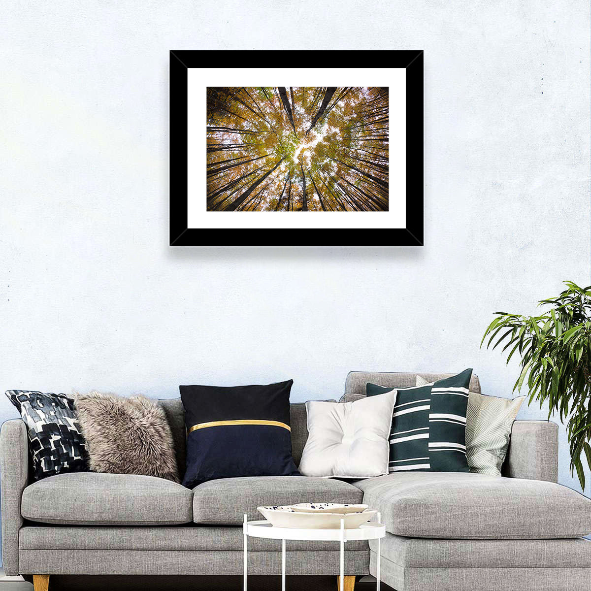 Autumn Forest Canopy Looking Up Wall Art in a room, landscape