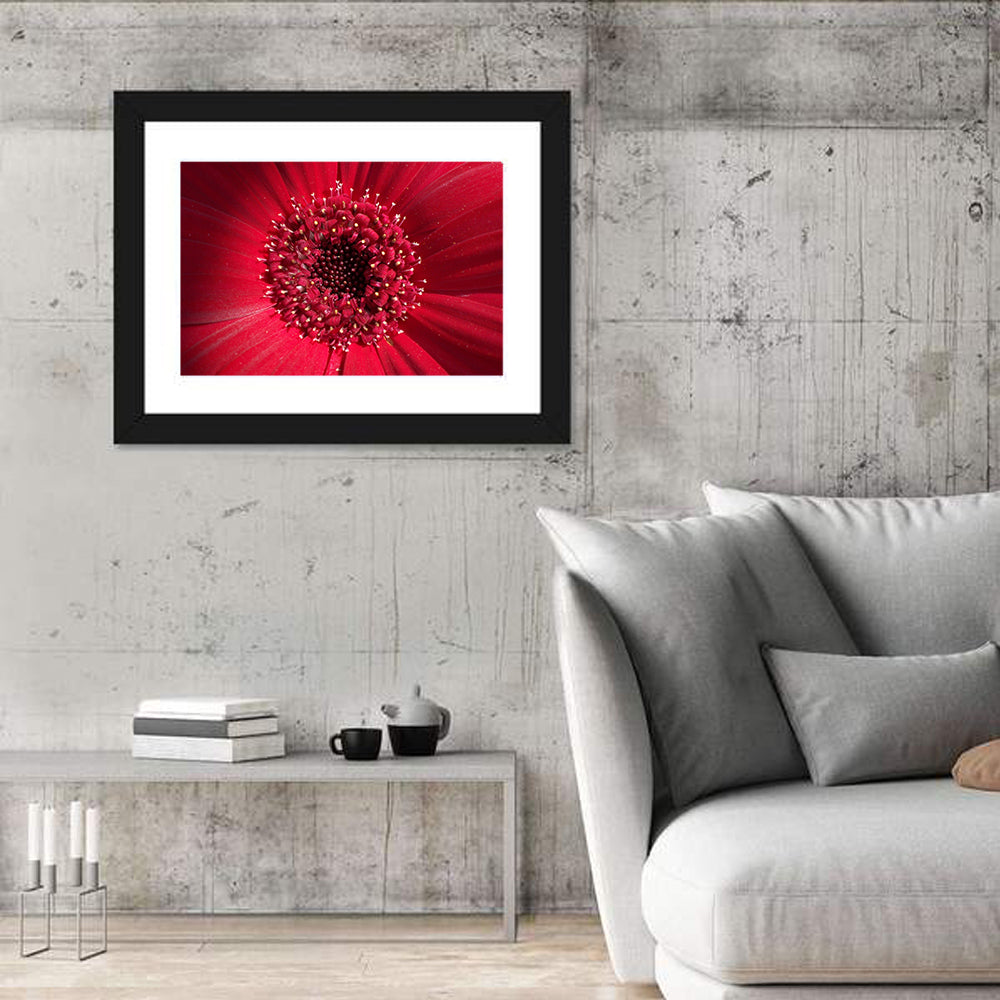 Red Gerbera Daisy Macro Close Up Wall Art in a room, landscape