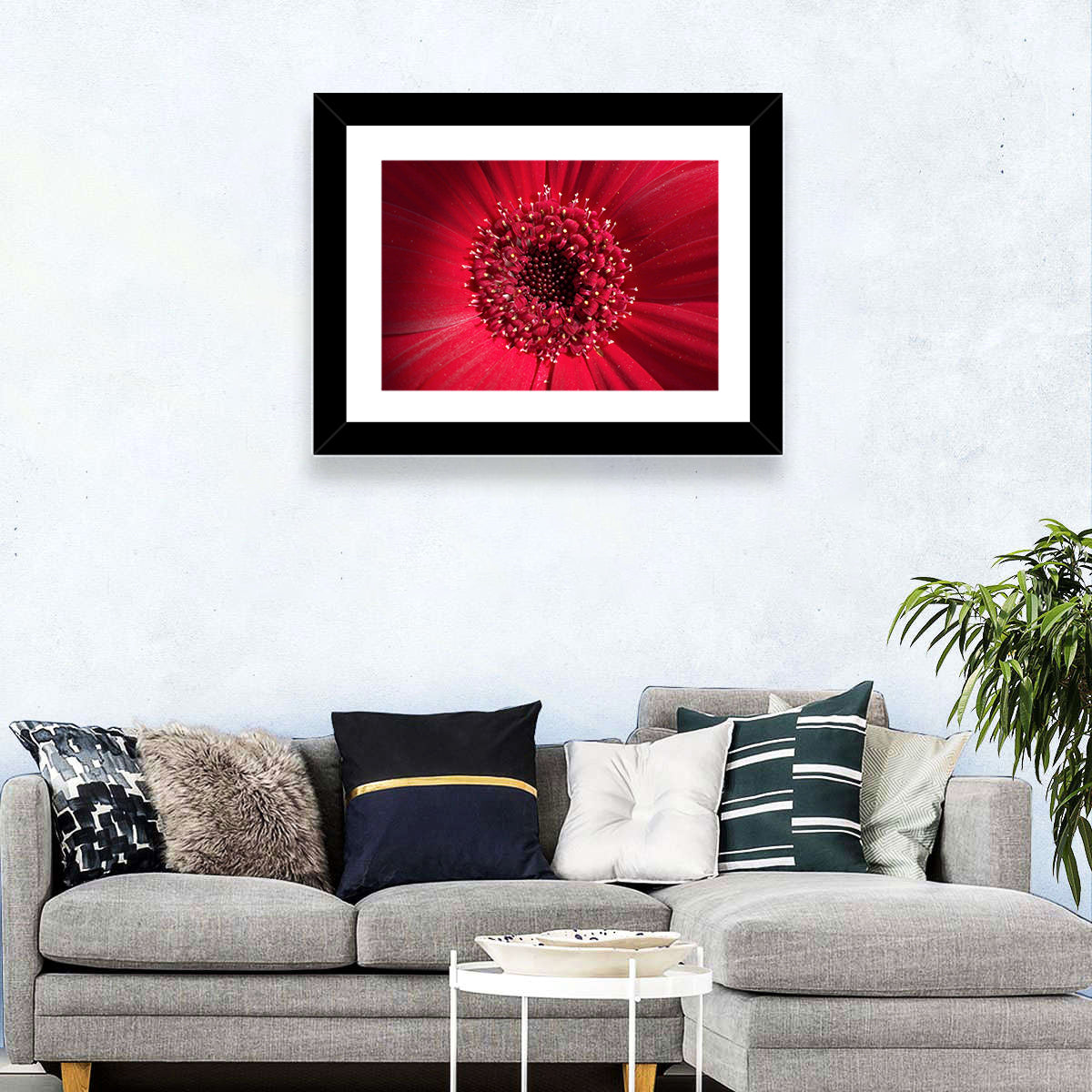 Red Gerbera Daisy Macro Close Up Wall Art