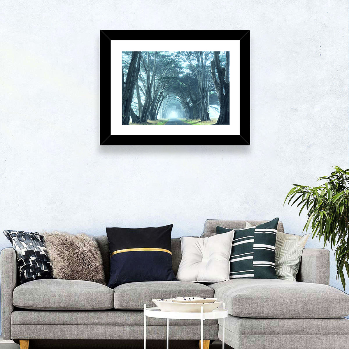 Foggy Cypress Tree Tunnel Wall Art