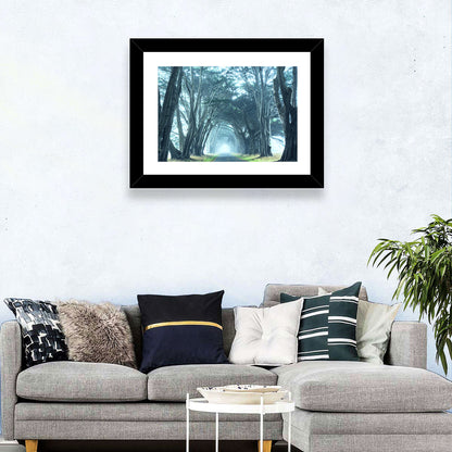 Foggy Cypress Tree Tunnel Wall Art