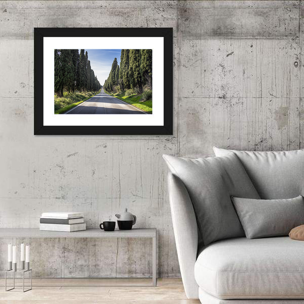 Cypress Trees Avenue Wall Art