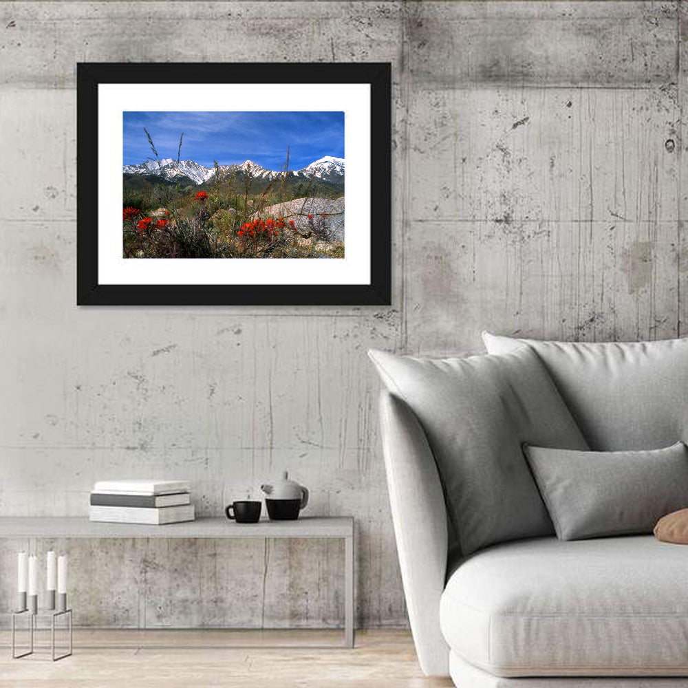 Sierra Nevada Wildflower Vista Wall Art in a room, landscape