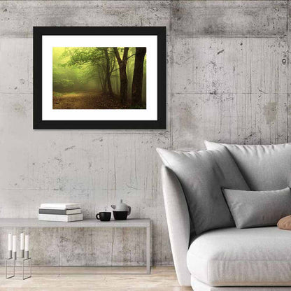 Misty Green Forest Path Wall Art