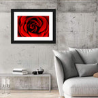 Velvety Red Rose Close-up Wall Art