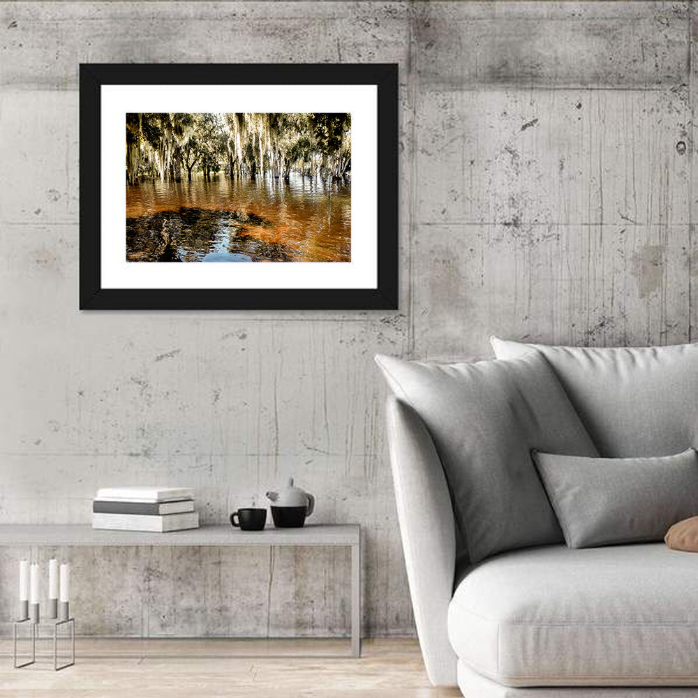 Spanish Moss Swamp at Lake Jesup Wall Art