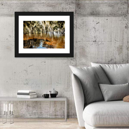 Spanish Moss Swamp at Lake Jesup Wall Art