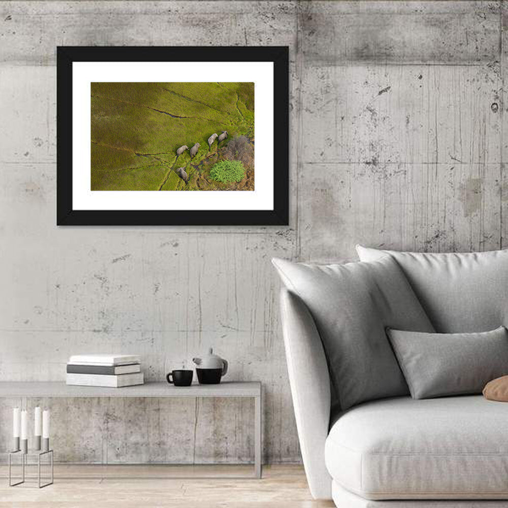 Aerial Herd of Elephants Wall Art