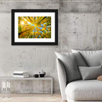 Golden Autumn Canopy Wall Art