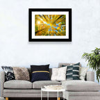 Golden Autumn Canopy Wall Art
