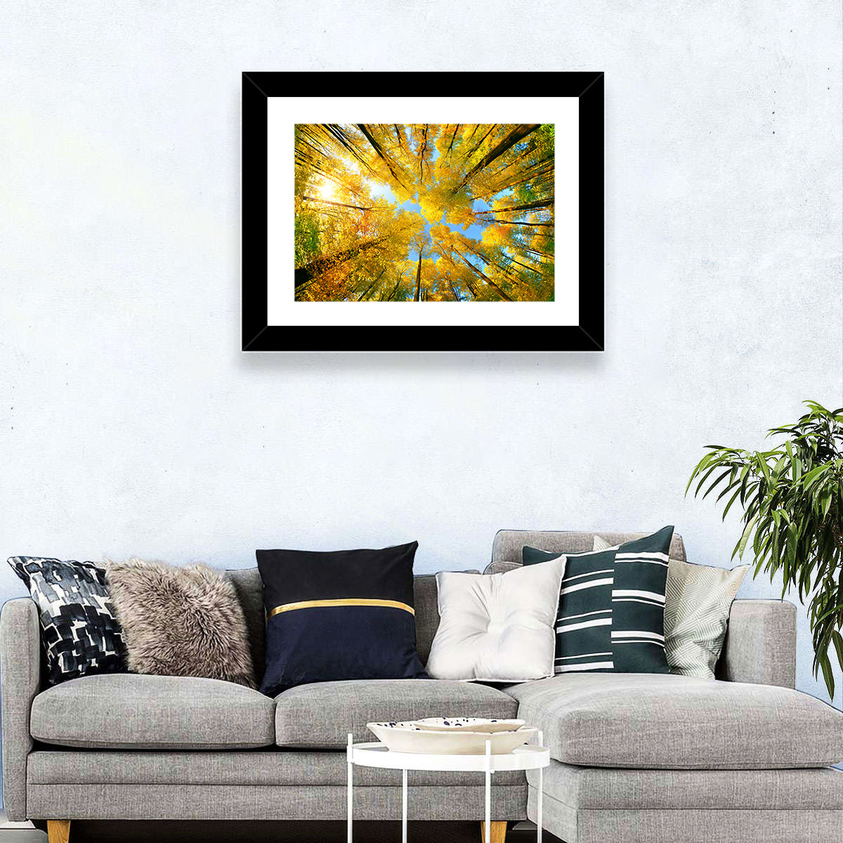 Golden Autumn Canopy Wall Art