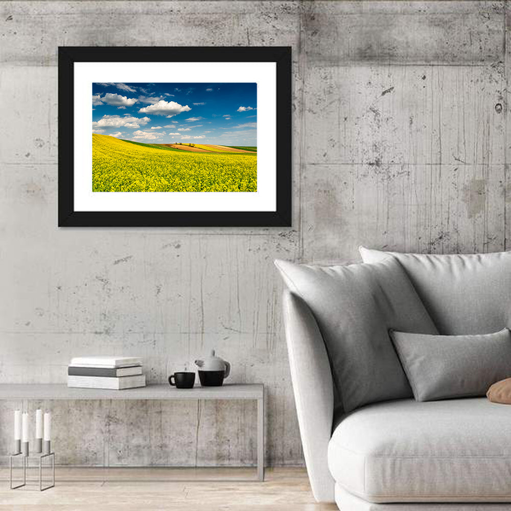 Sunlit Canola Fields Wall Art