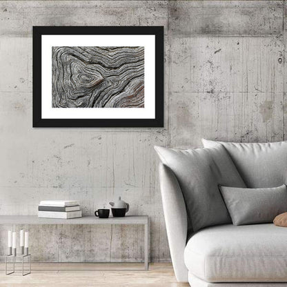 Tree Growth Rings Wall Art