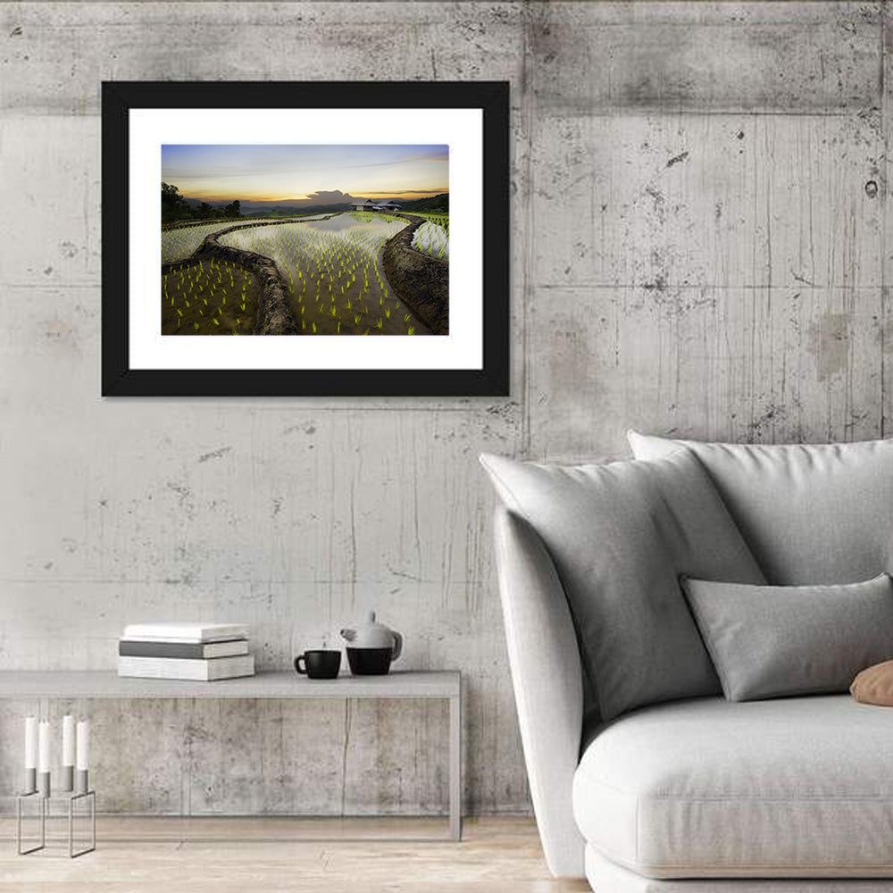 Pa Pong Peang Rice Terrace Wall Art in a room, landscape