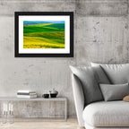 Spring Rapeseed Fields Wall Art