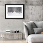 Snow Covered Park Lane Wall Art