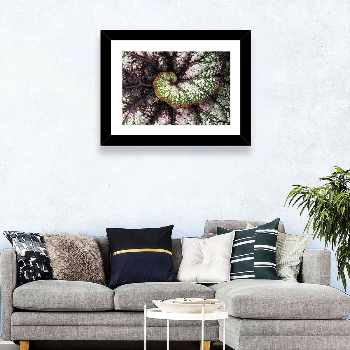 Begonia Leaf Spiral Geometry Wall Art