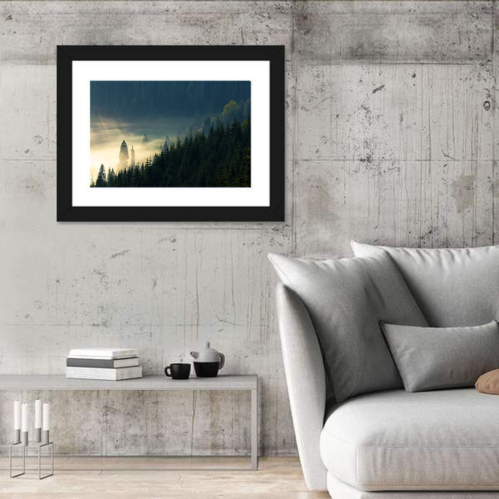 Conifer Valley Morning Mist Wall Art