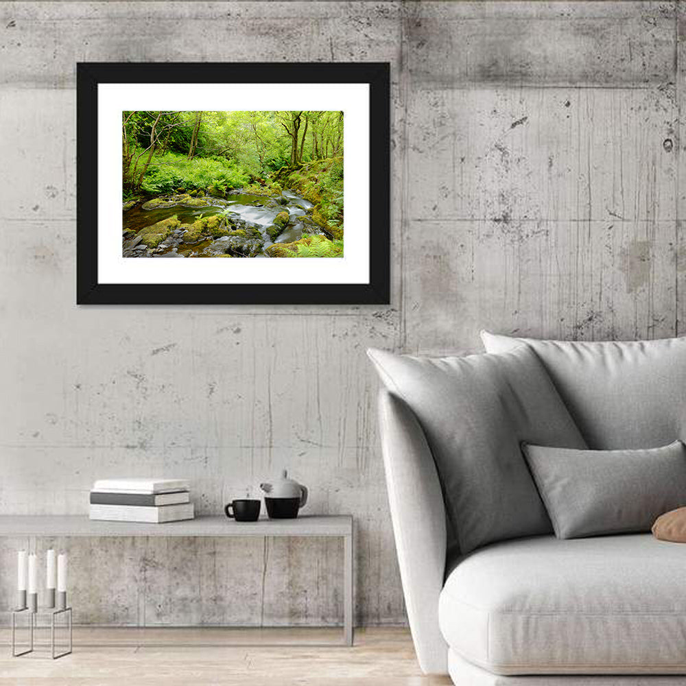 Mossy Stream Through Forest Wall Art in a room, landscape