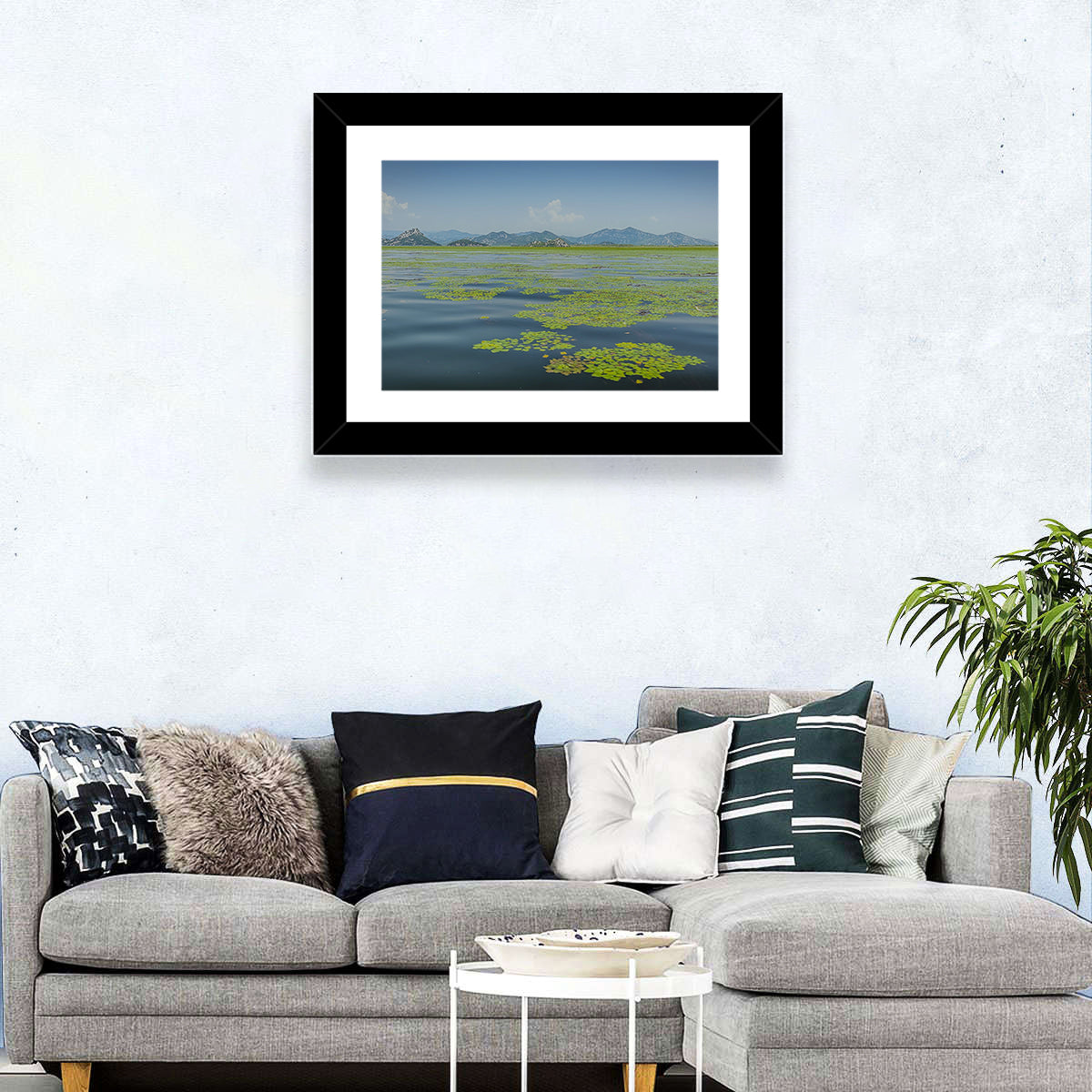 Lake Skadar Water Lilies Wall Art