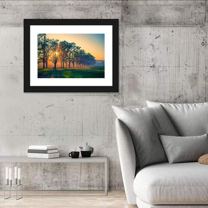 Oak Alley Golden Hour Wall Art