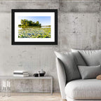 Carter Lake Lily Pads Wall Art