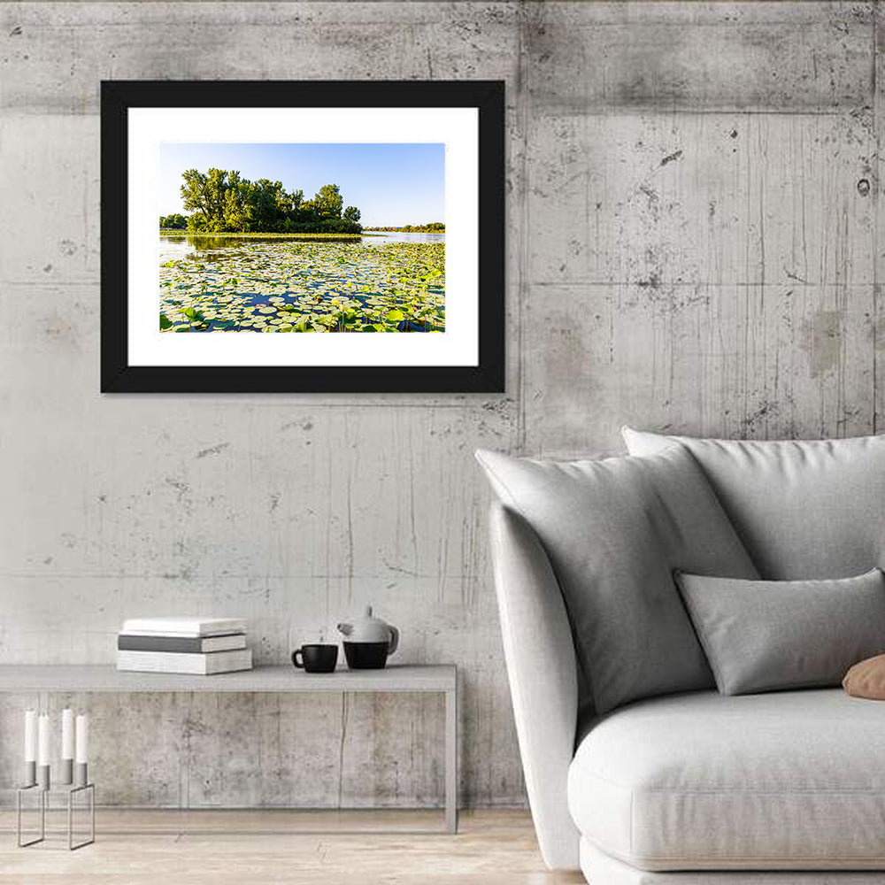 Carter Lake Lily Pads Wall Art