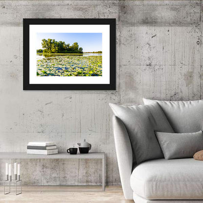 Carter Lake Lily Pads Wall Art