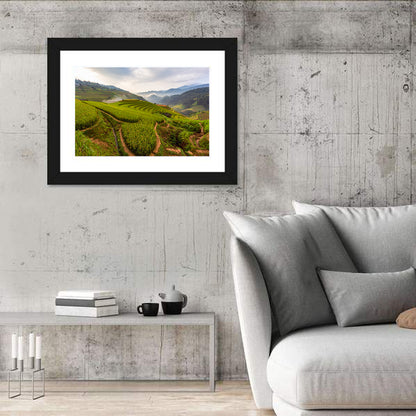 Terraced Rice Paddies Wall Art