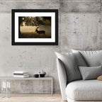 Misty Stag Silhouette Wall Art