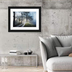 Foggy Forest Path Wall Art