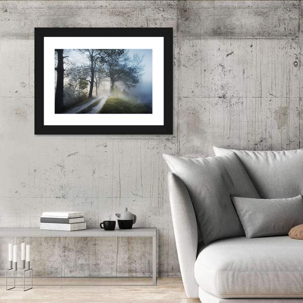 Foggy Forest Path Wall Art