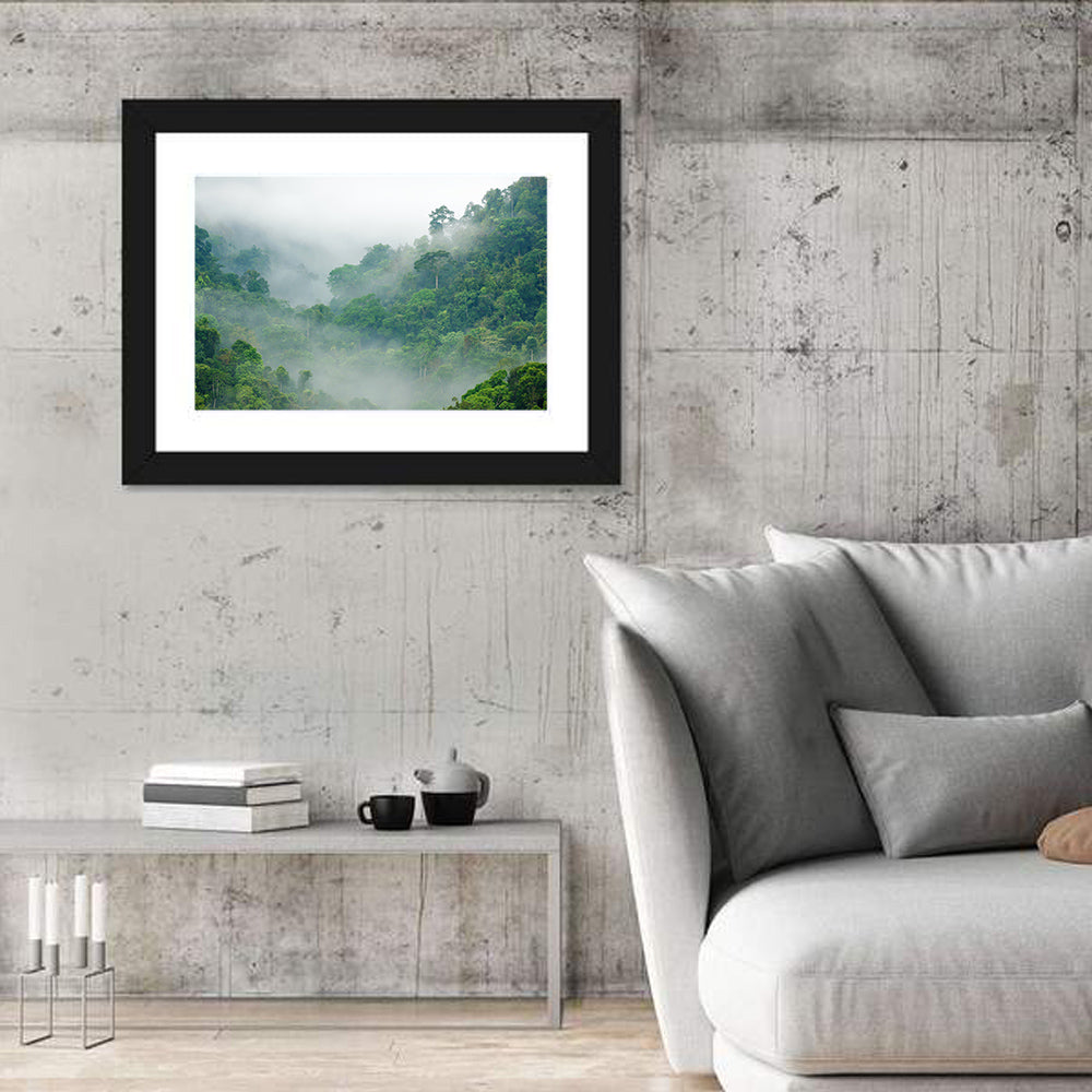 Misty Rainforest Morning Wall Art in a room, landscape