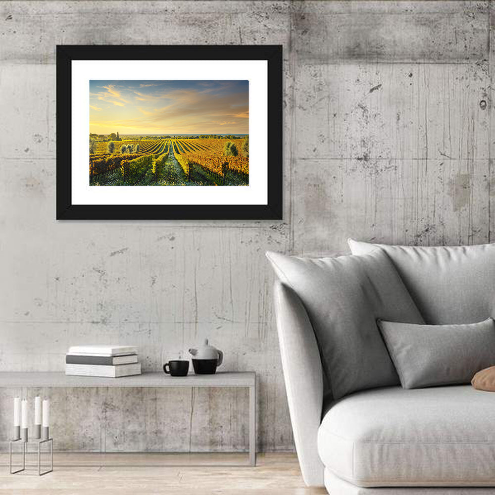 Bolgheri Vineyard Wall Art in a room, landscape