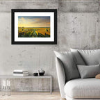 Bolgheri Vineyard Wall Art