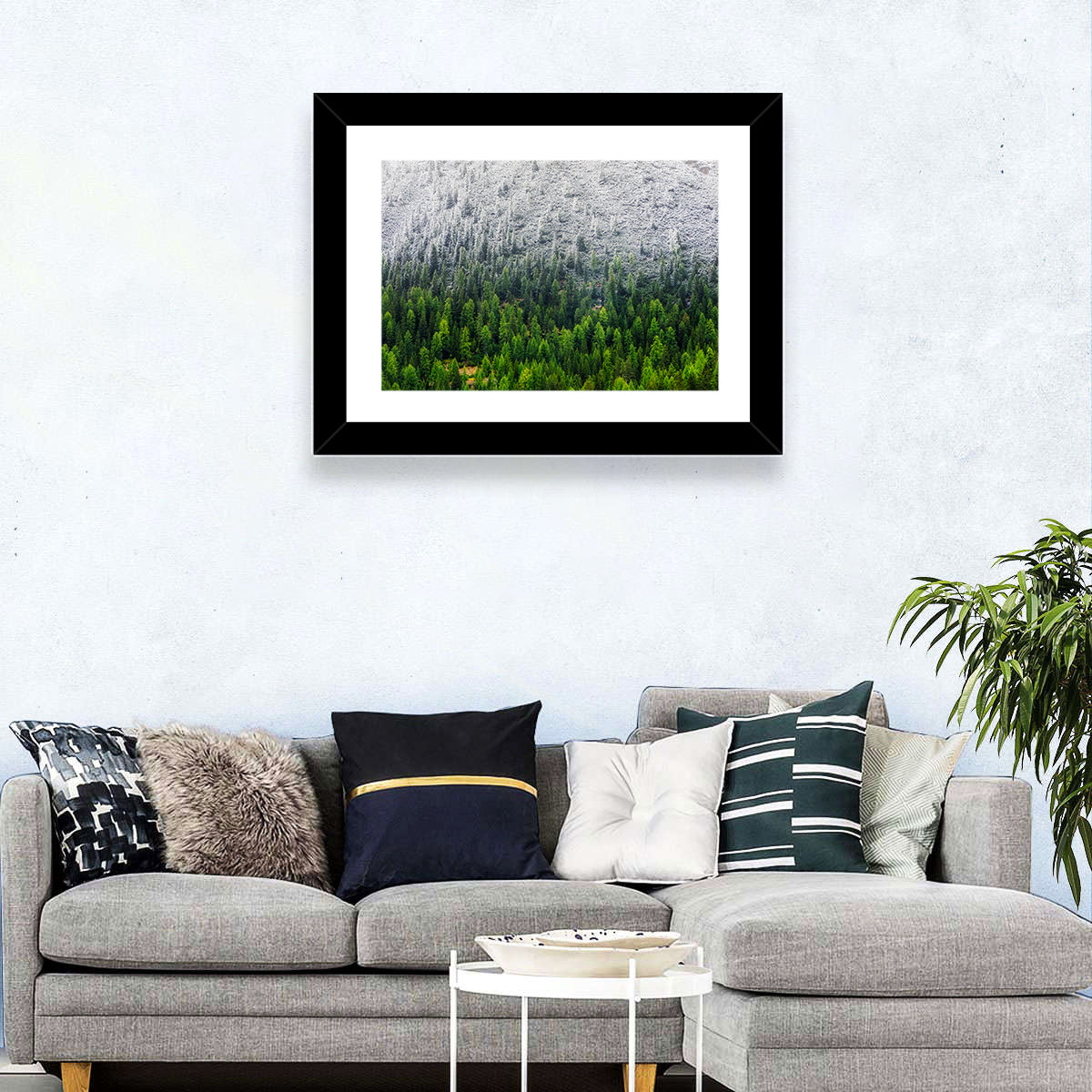 Snowy Dolomites Forest Wall Art