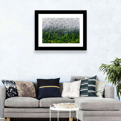 Snowy Dolomites Forest Wall Art
